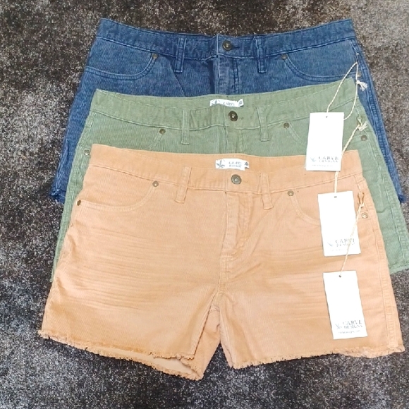 3 Carve Designs Blue and Green and Tan Corduroy Shorts - Picture 1 of 7